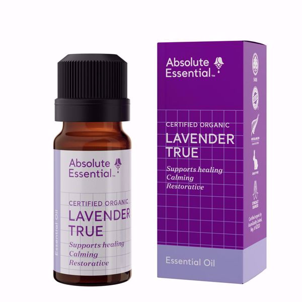 Absolute Essential Lavender True Oil Certified Organic  25ml