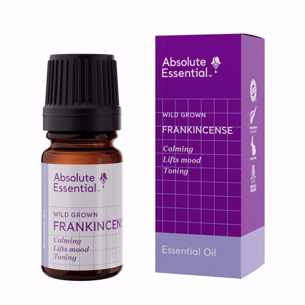 Absolute Essential Frankincense Oil Wild Grown 5ml
